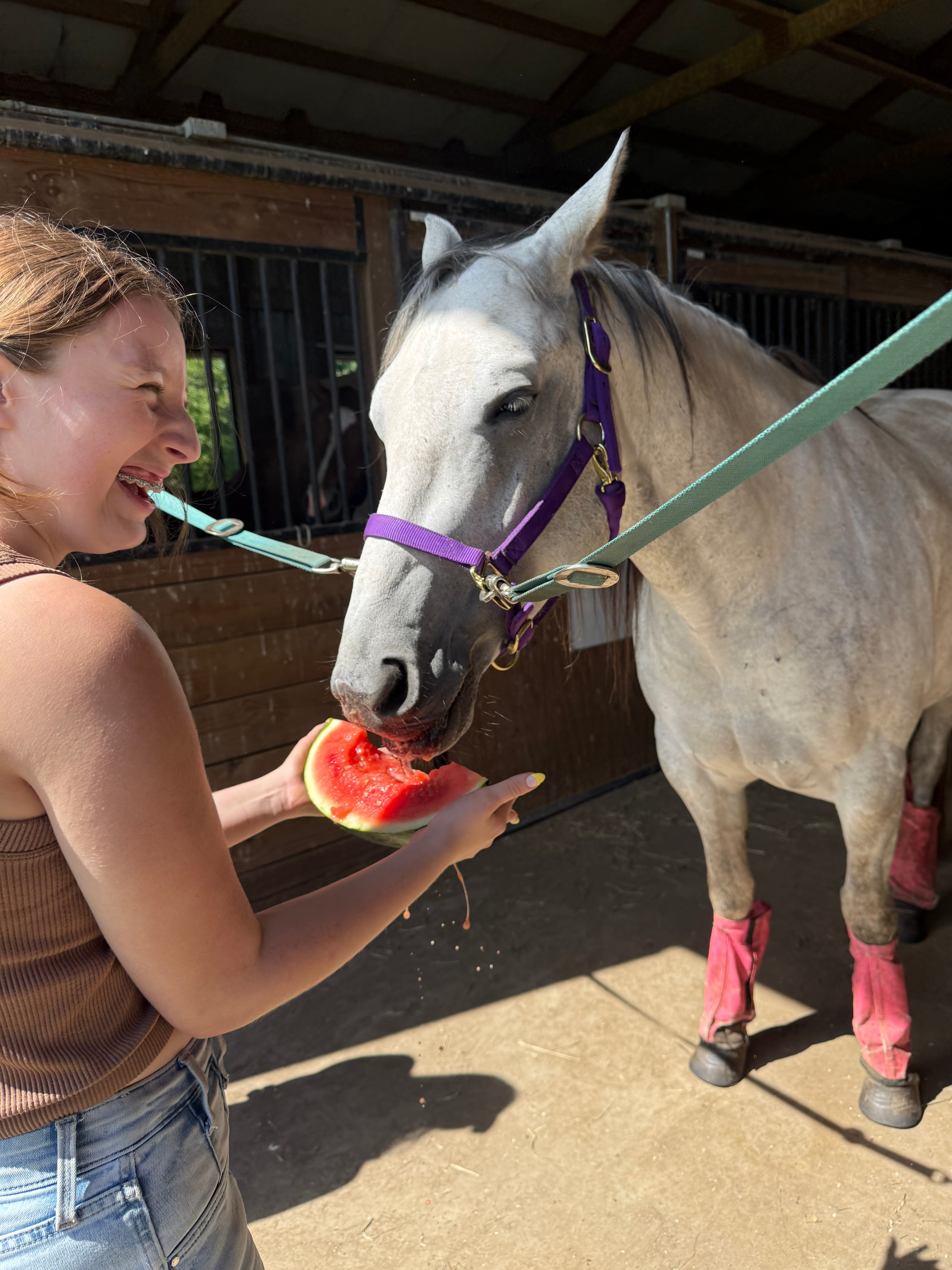 An instructor showing a first-timer how to brush a horse