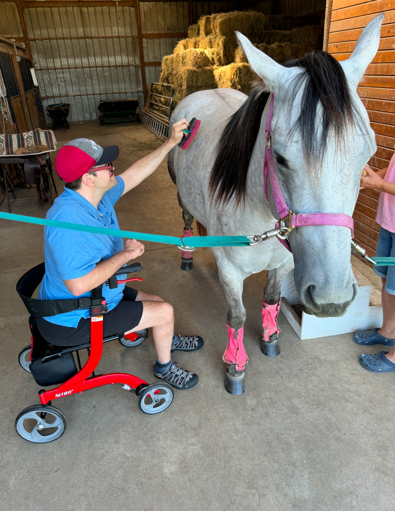 A guest grooming Dakota in the barn aisle