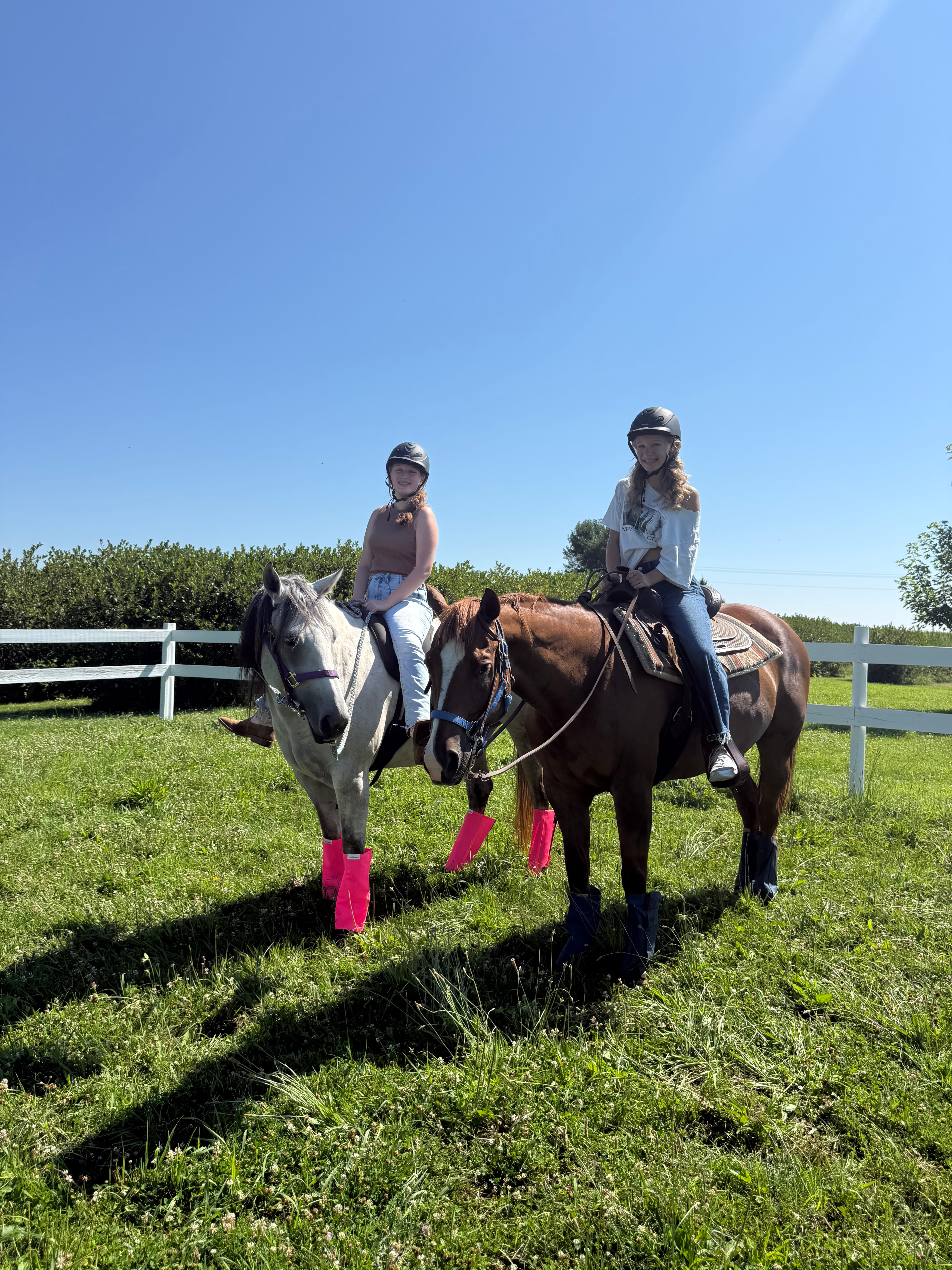 A child riding a horse at a walk inside the enclosed pen